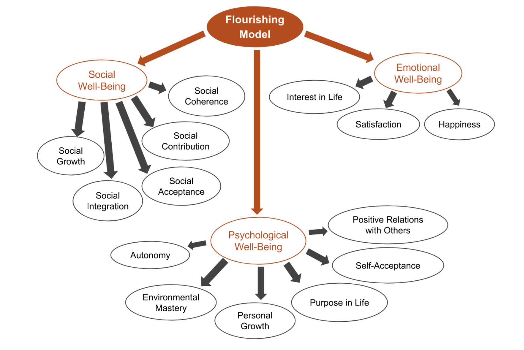 Defining Happiness in Daily Life – adaptiveedgecoaching.com
